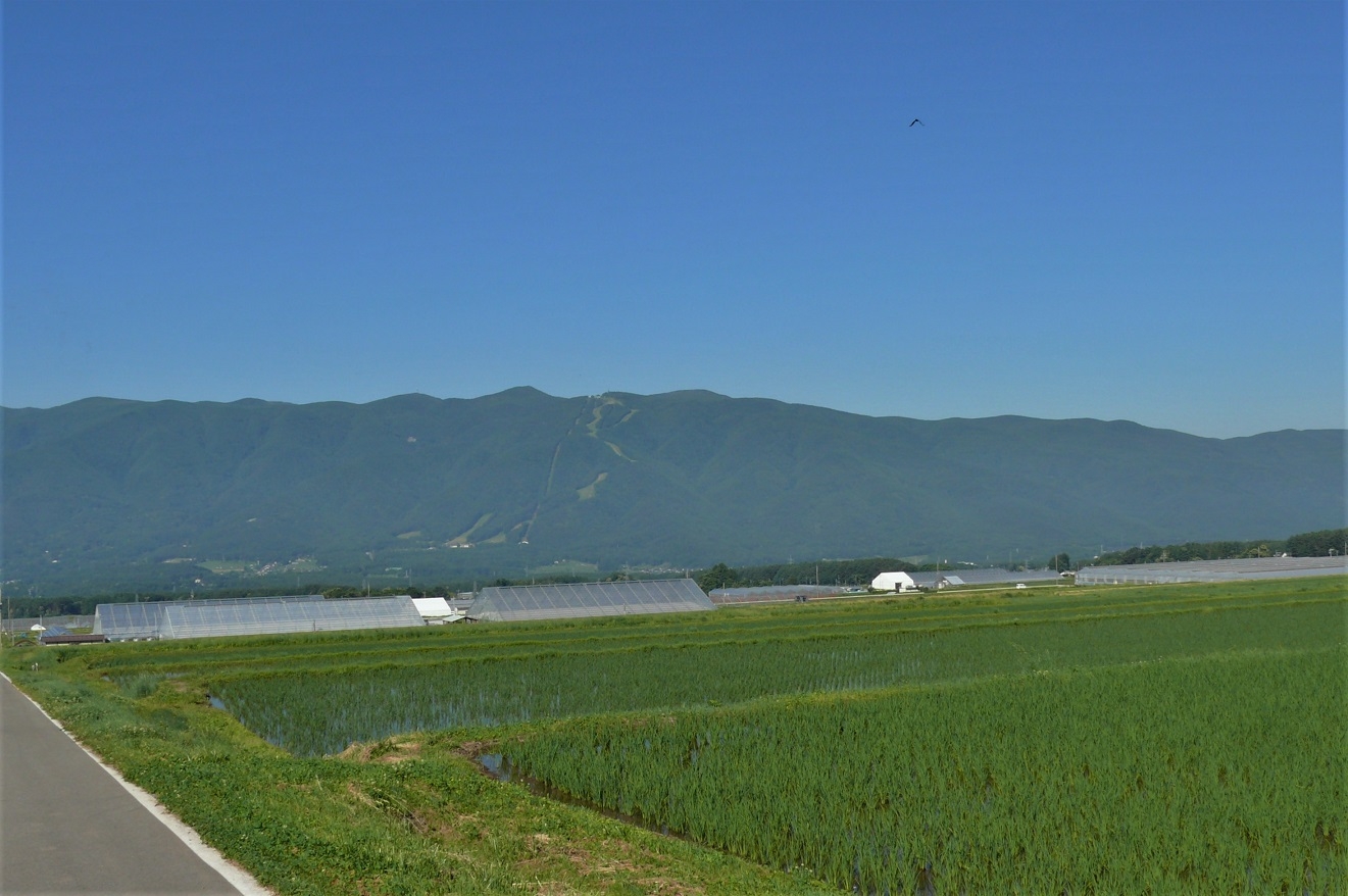 http://www.alpico.co.jp/shikinomori/news/images/P1220738.JPG