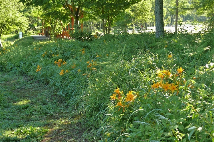 http://www.alpico.co.jp/shikinomori/news/images/P1220754.JPG