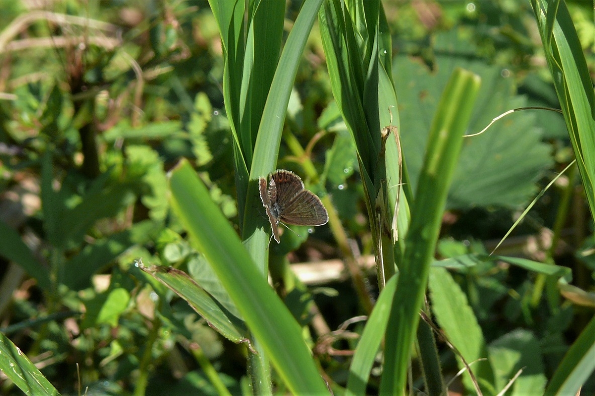 http://www.alpico.co.jp/shikinomori/news/images/P1220767.JPG