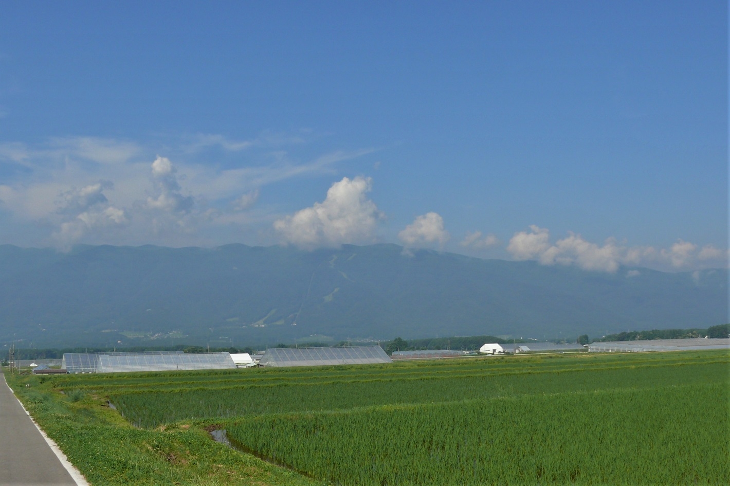 http://www.alpico.co.jp/shikinomori/news/images/P1220794.JPG