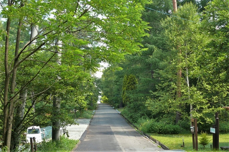 http://www.alpico.co.jp/shikinomori/news/images/P1220808.JPG