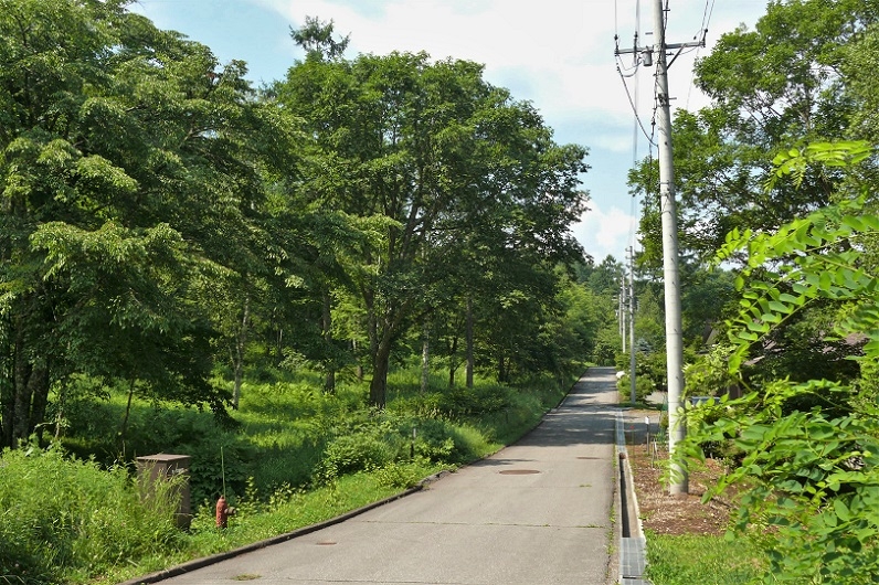 http://www.alpico.co.jp/shikinomori/news/images/P1220815.JPG
