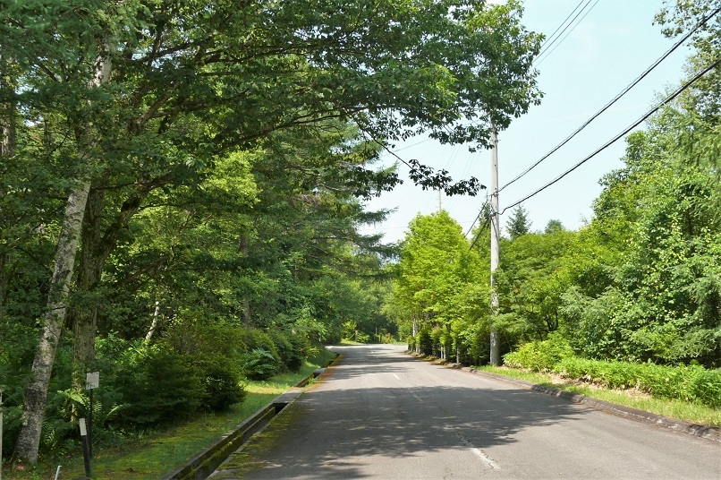 http://www.alpico.co.jp/shikinomori/news/images/P1220835.JPG