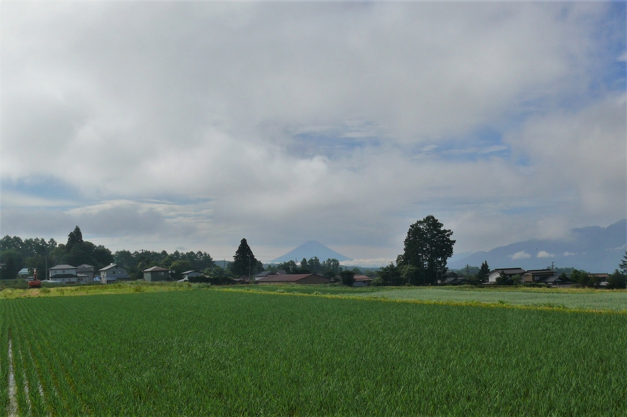http://www.alpico.co.jp/shikinomori/news/images/P1220872.JPG