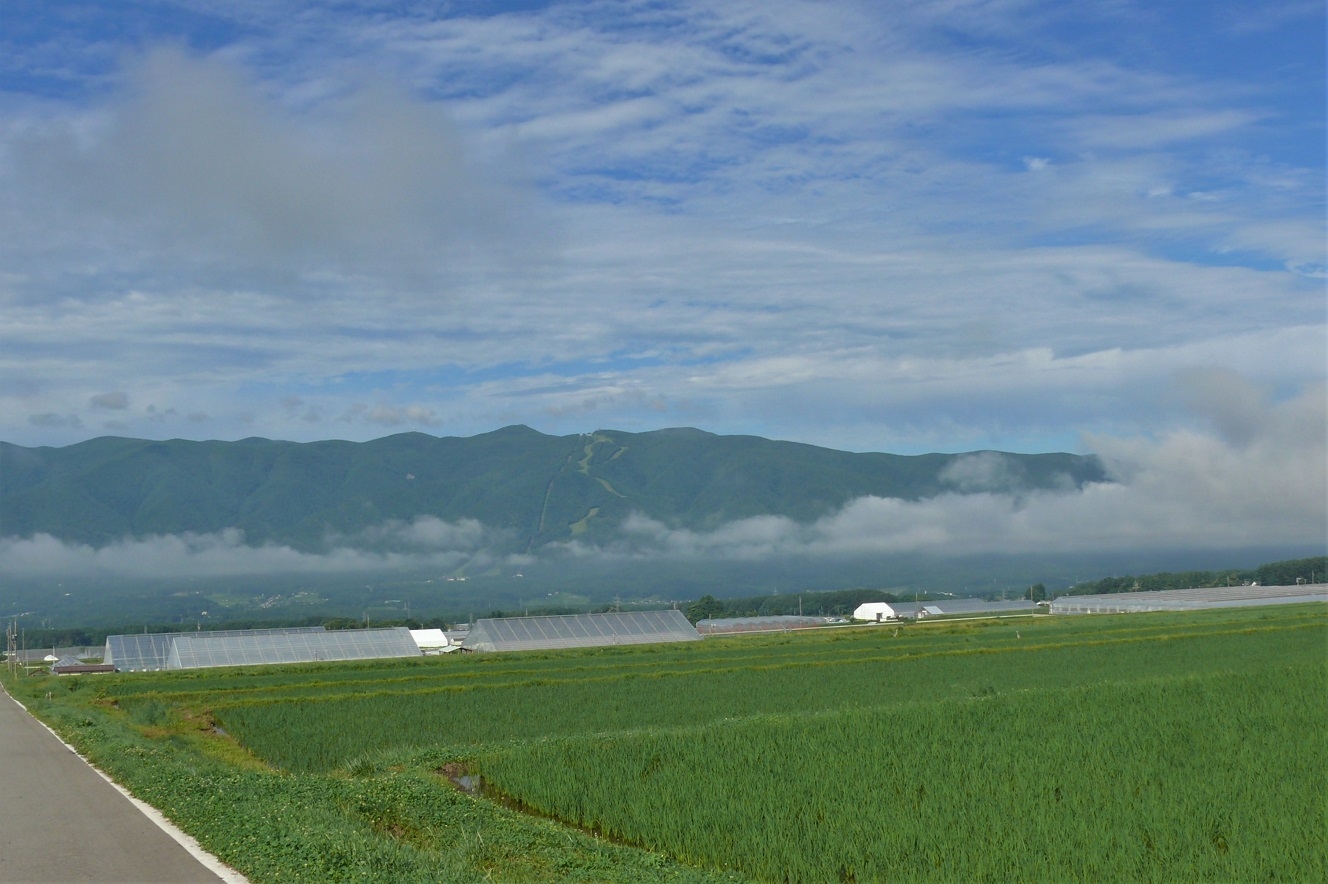 http://www.alpico.co.jp/shikinomori/news/images/P1220874.JPG