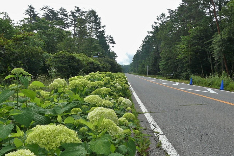 http://www.alpico.co.jp/shikinomori/news/images/P1220889.JPG