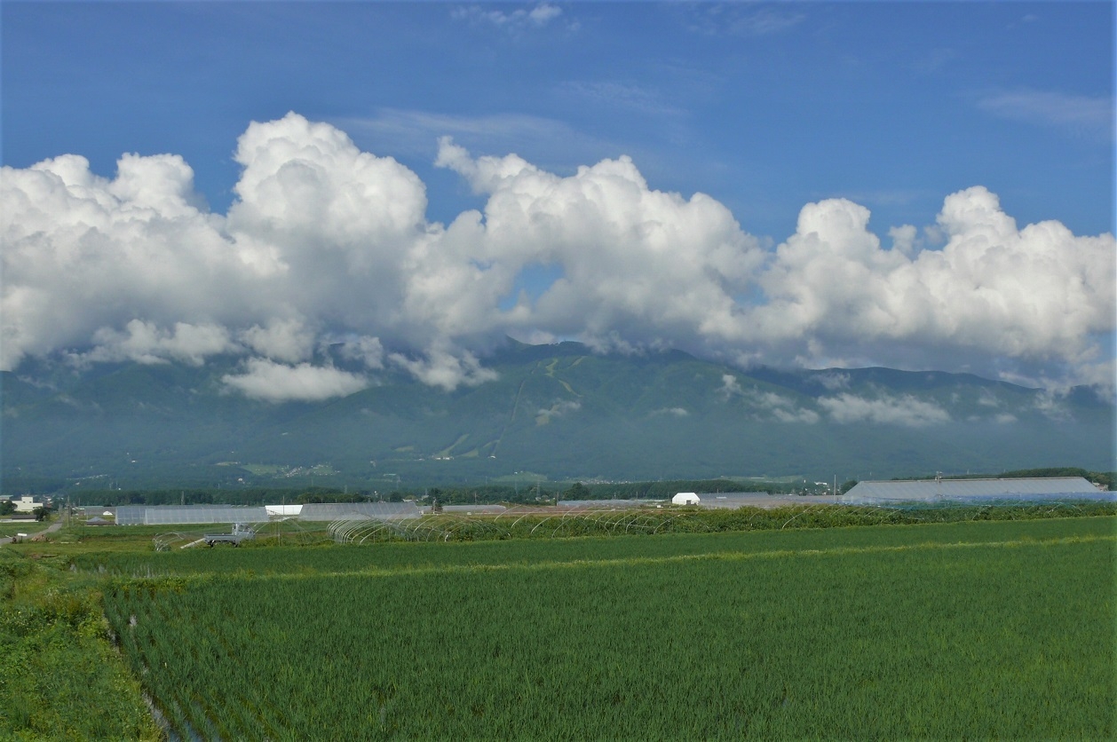 http://www.alpico.co.jp/shikinomori/news/images/P1220909.JPG