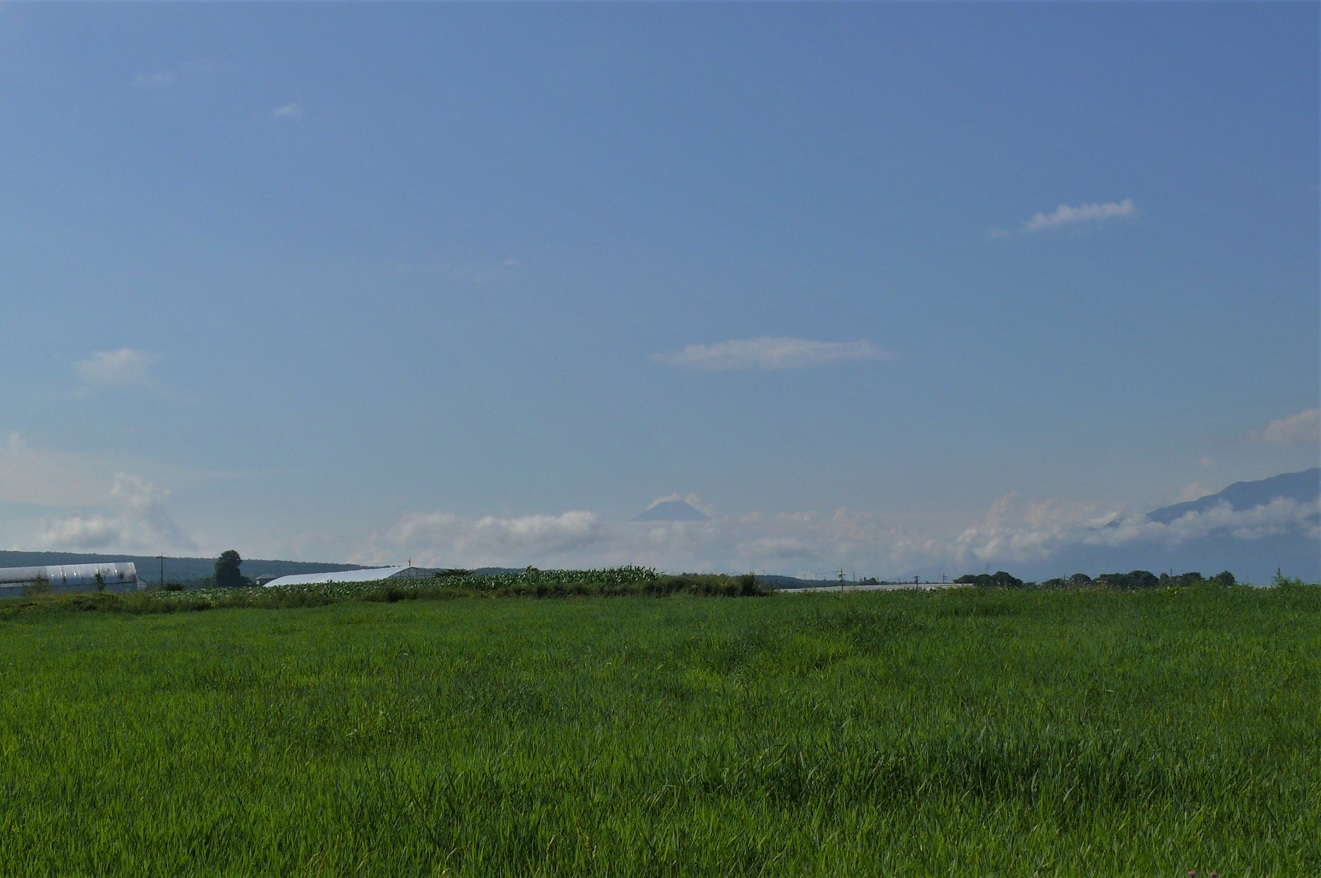 http://www.alpico.co.jp/shikinomori/news/images/P1220910.JPG