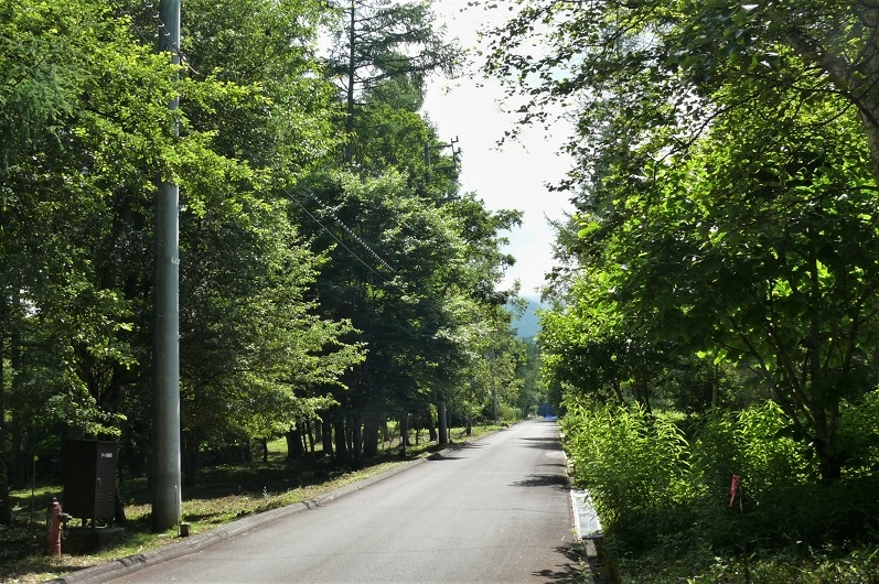 http://www.alpico.co.jp/shikinomori/news/images/P1220939.JPG