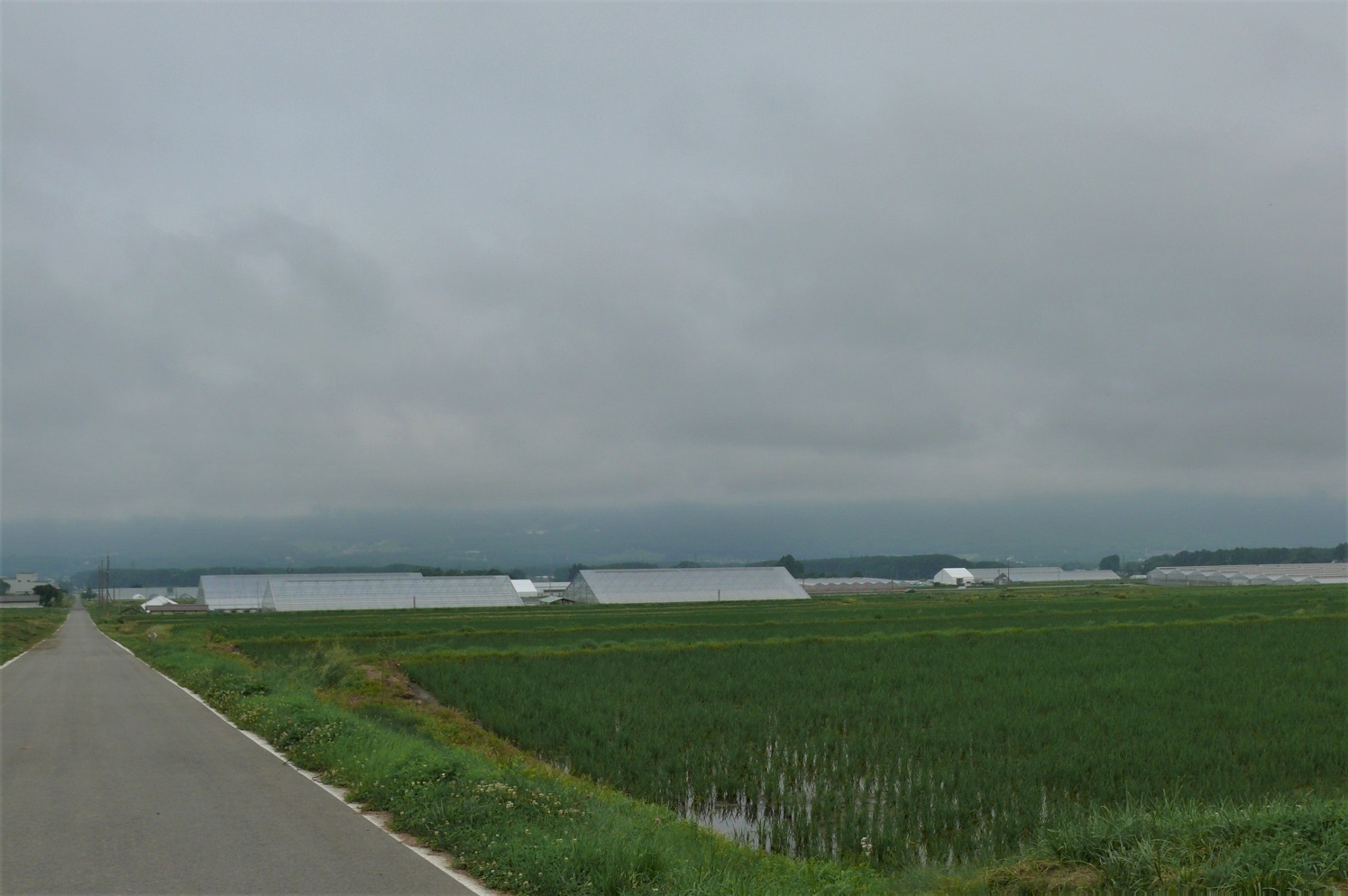 http://www.alpico.co.jp/shikinomori/news/images/P1220989.JPG