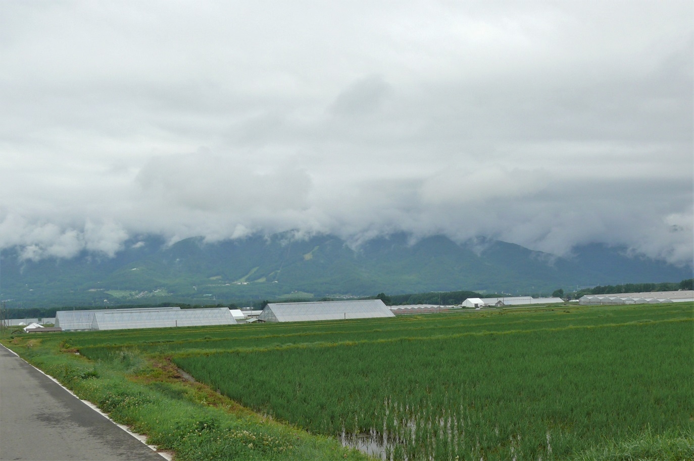 http://www.alpico.co.jp/shikinomori/news/images/P1230071.JPG