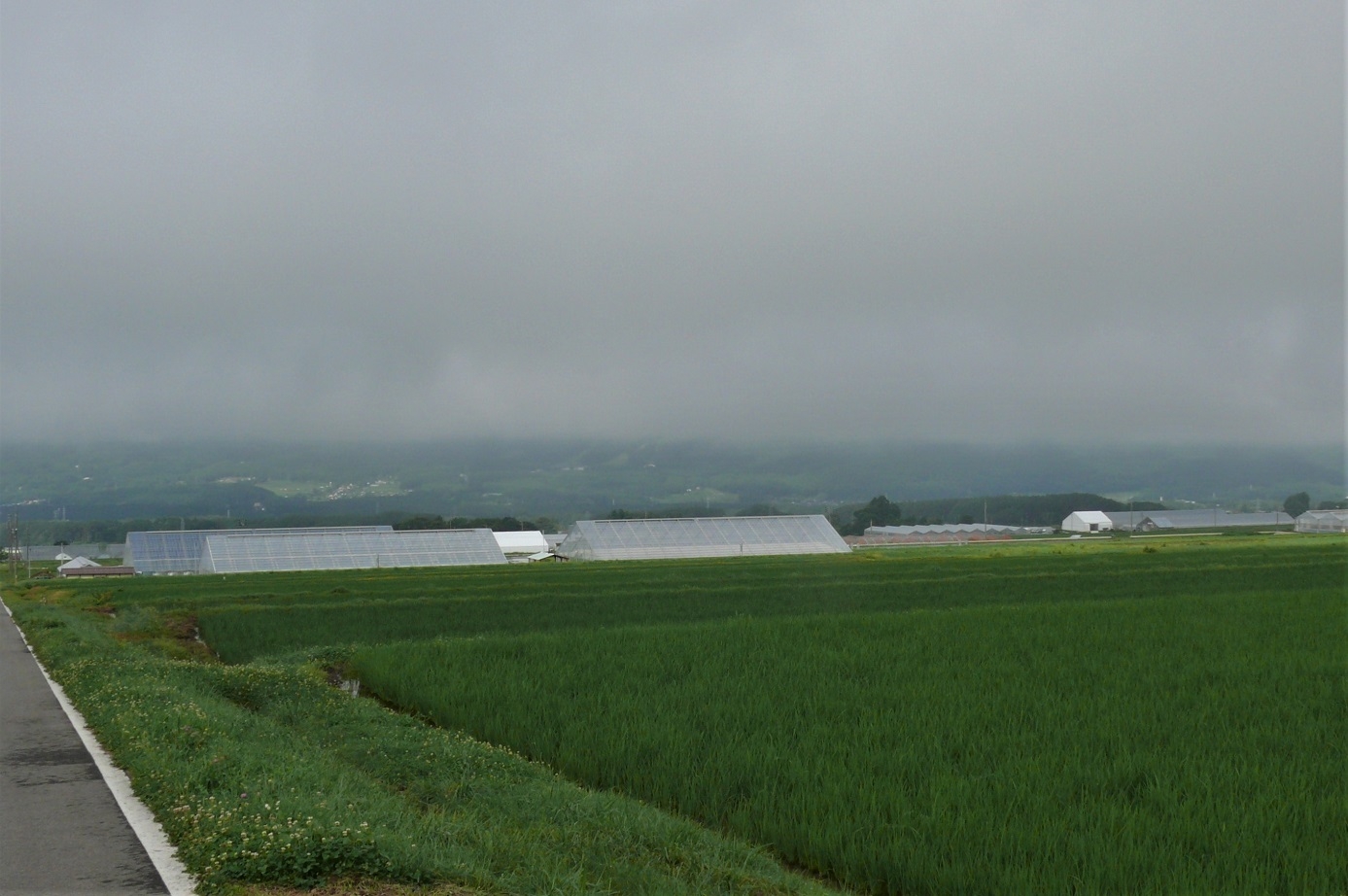 http://www.alpico.co.jp/shikinomori/news/images/P1230149.JPG
