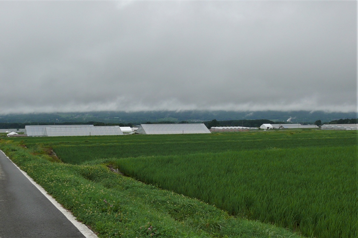 http://www.alpico.co.jp/shikinomori/news/images/P1230201.JPG