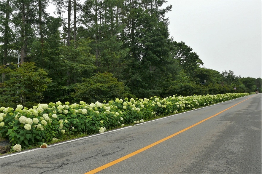 http://www.alpico.co.jp/shikinomori/news/images/P1230222.JPG