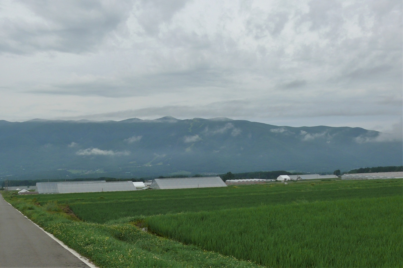 http://www.alpico.co.jp/shikinomori/news/images/P1230250.JPG