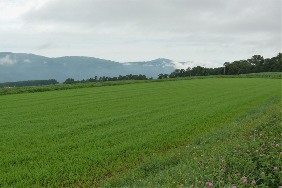 http://www.alpico.co.jp/shikinomori/news/images/P1230252.JPG