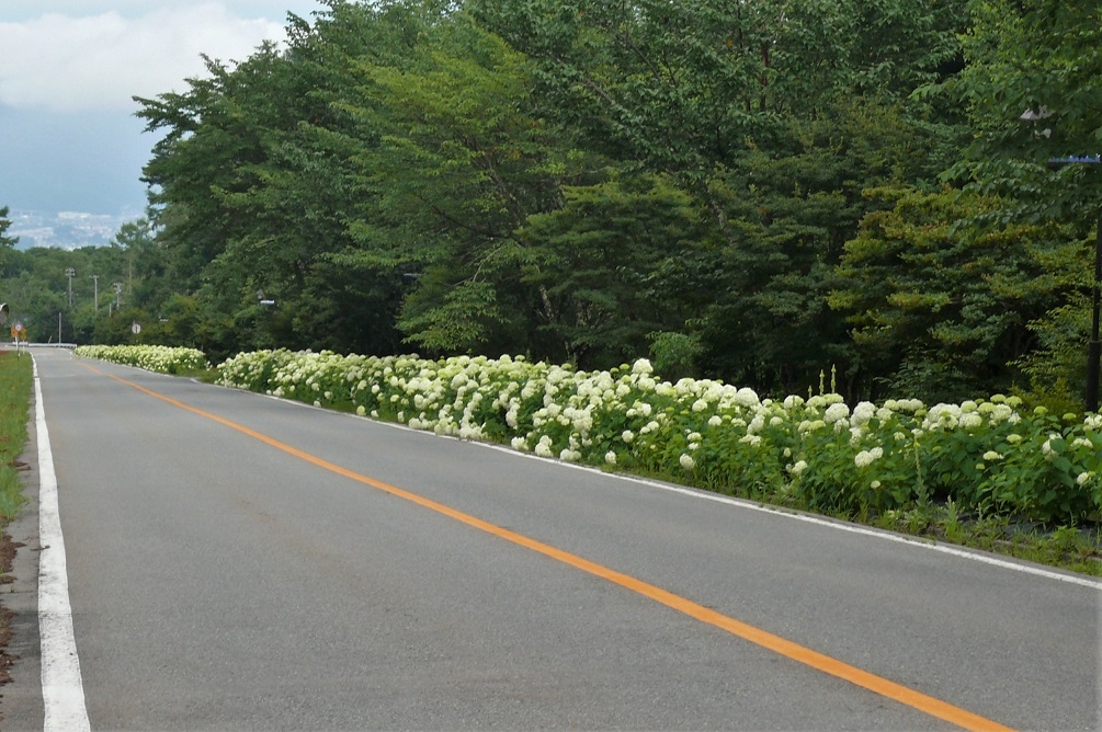 http://www.alpico.co.jp/shikinomori/news/images/P1230264.JPG