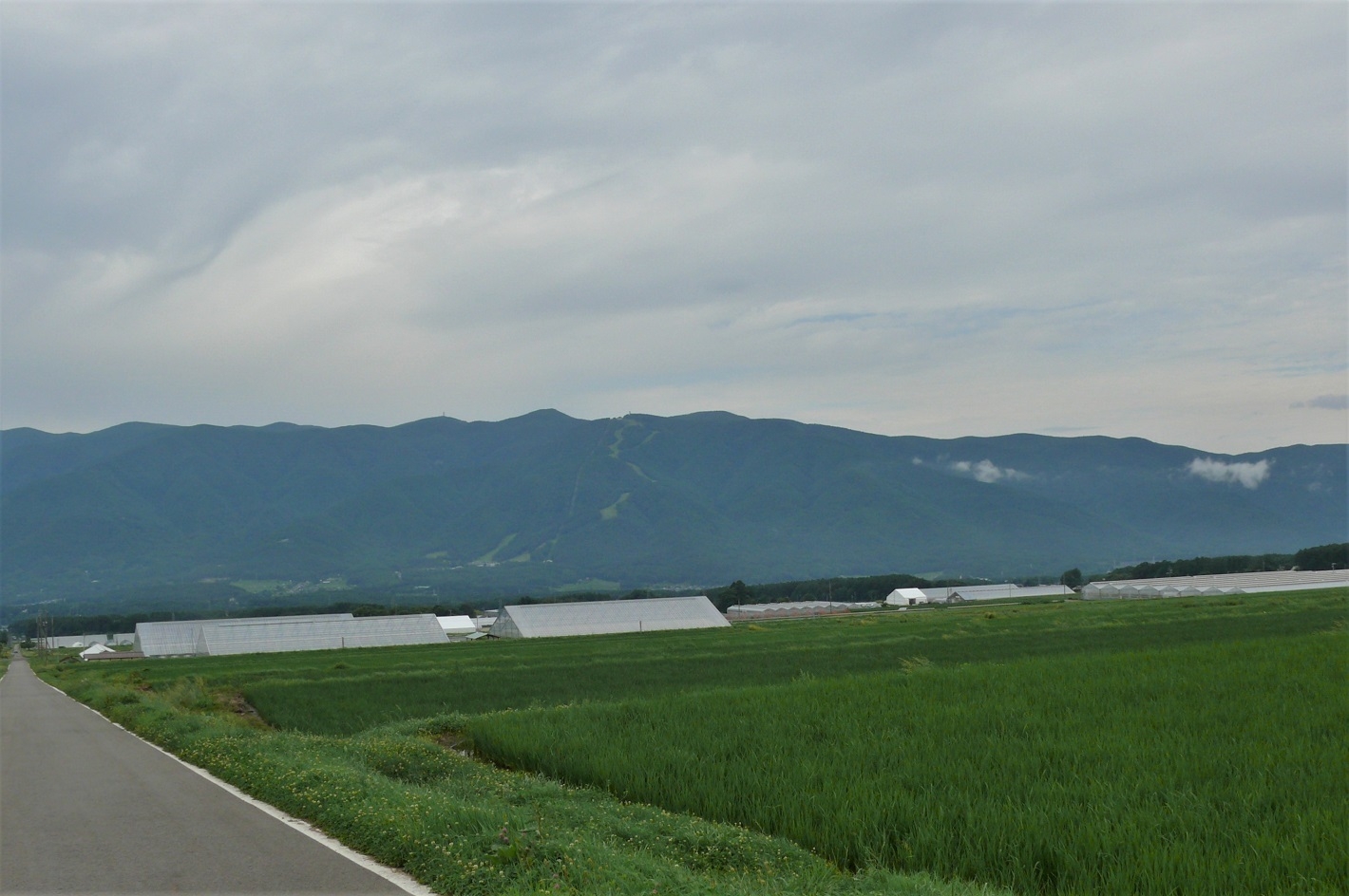 http://www.alpico.co.jp/shikinomori/news/images/P1230310.JPG