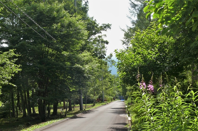 http://www.alpico.co.jp/shikinomori/news/images/P1230329.JPG