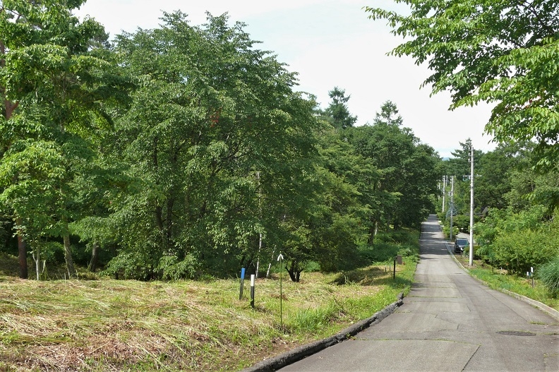 http://www.alpico.co.jp/shikinomori/news/images/P1230336.JPG