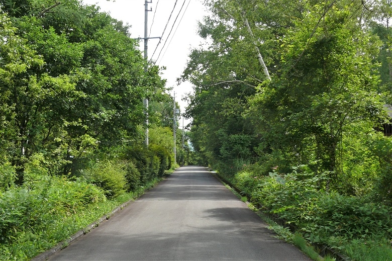 http://www.alpico.co.jp/shikinomori/news/images/P1230366.JPG