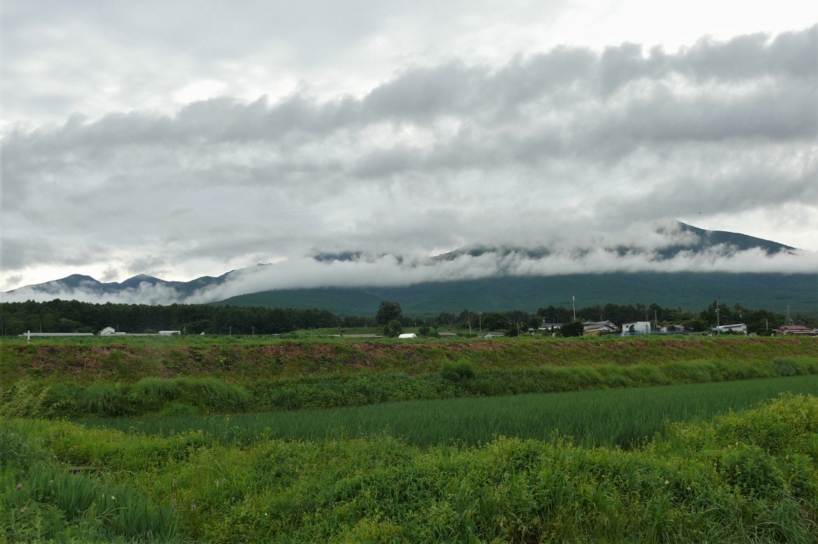 http://www.alpico.co.jp/shikinomori/news/images/P1230377.JPG