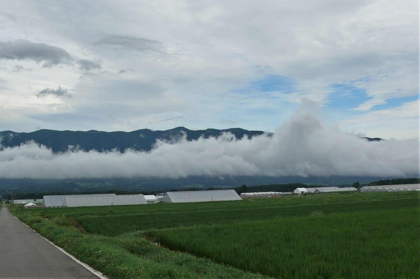 http://www.alpico.co.jp/shikinomori/news/images/P1230379.JPG