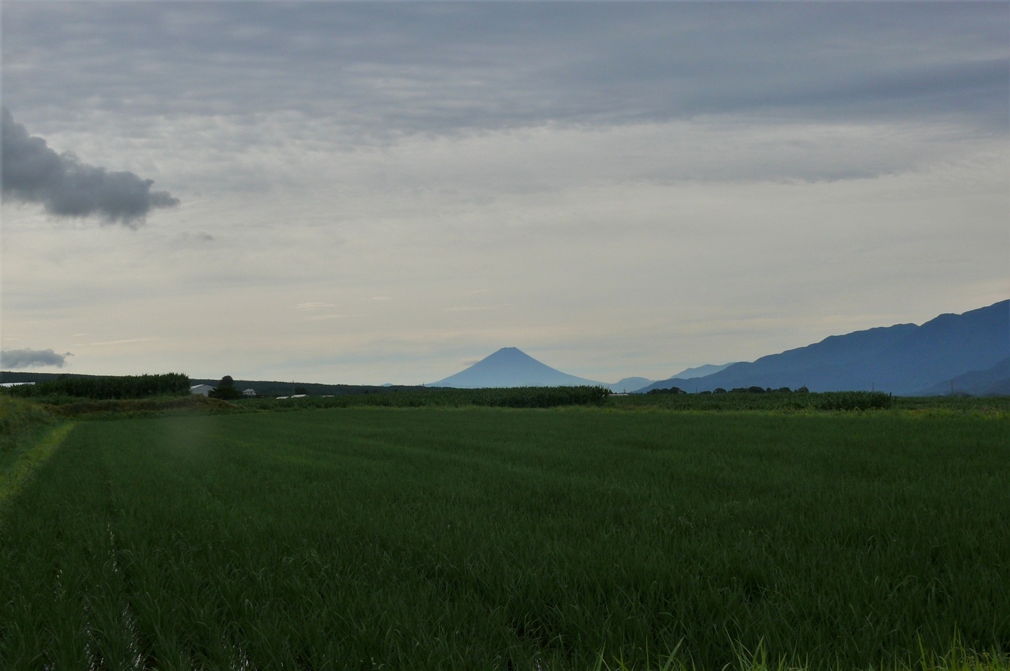 http://www.alpico.co.jp/shikinomori/news/images/P1230380.JPG