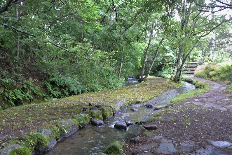 http://www.alpico.co.jp/shikinomori/news/images/P1230405.JPG