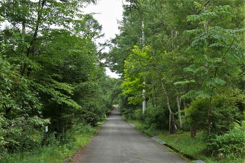 http://www.alpico.co.jp/shikinomori/news/images/P1230449.JPG