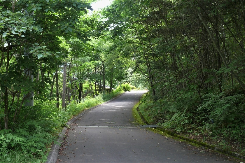 http://www.alpico.co.jp/shikinomori/news/images/P1230479.JPG