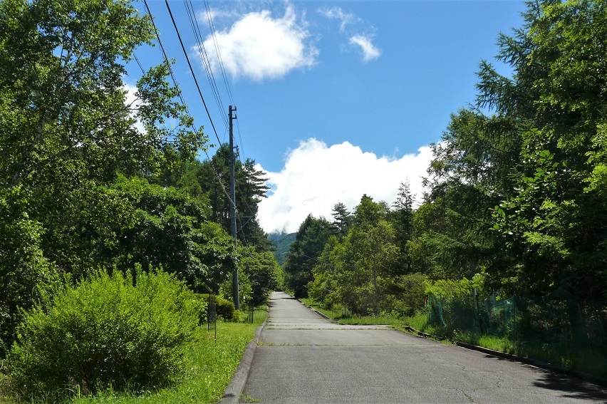 http://www.alpico.co.jp/shikinomori/news/images/P1230573.JPG