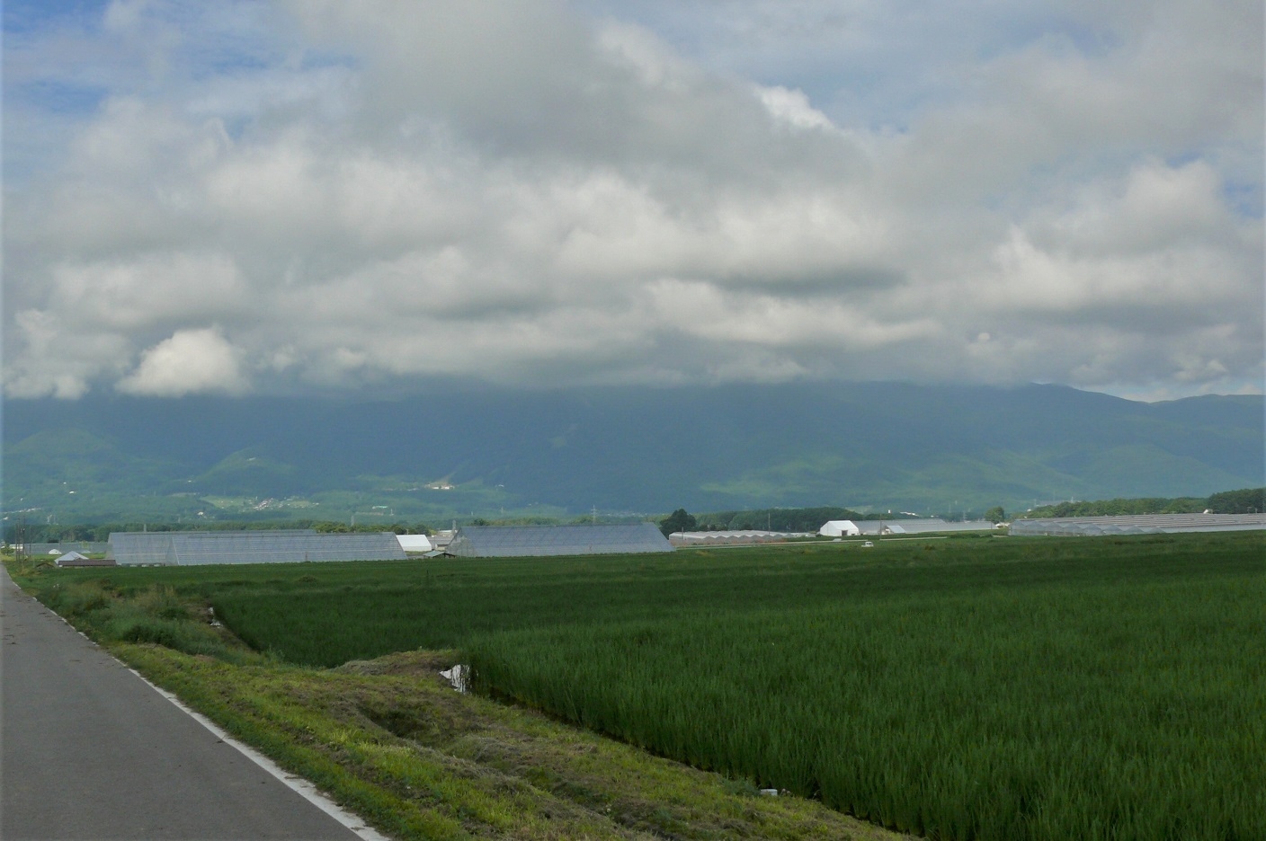 http://www.alpico.co.jp/shikinomori/news/images/P1230635.JPG