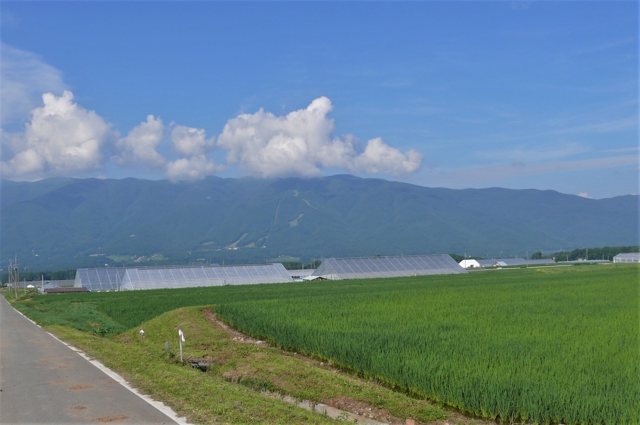 http://www.alpico.co.jp/shikinomori/news/images/P1230655.JPG