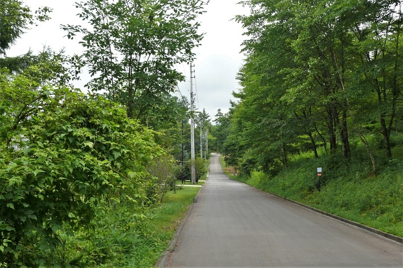 http://www.alpico.co.jp/shikinomori/news/images/P1230696.JPG