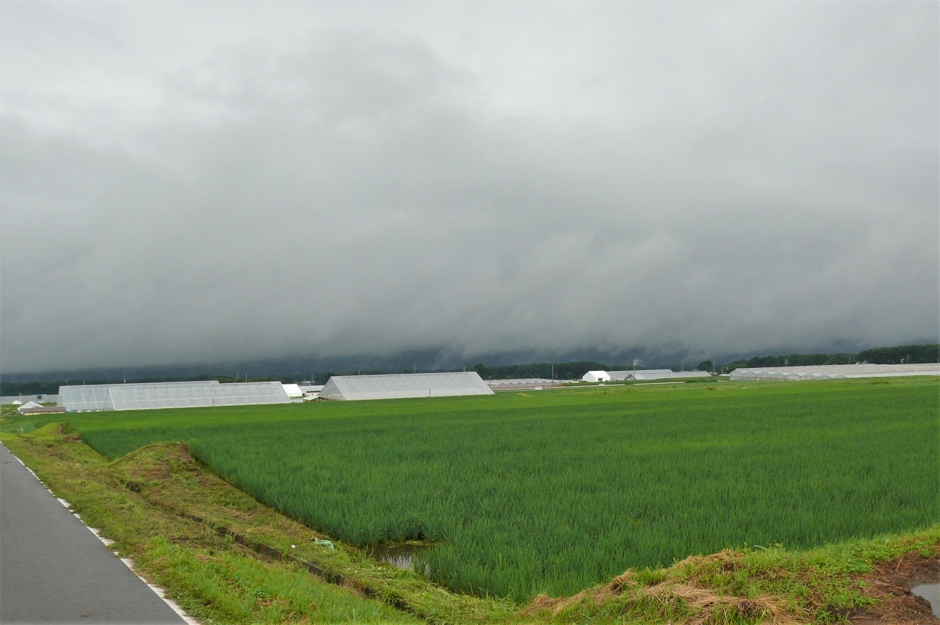 http://www.alpico.co.jp/shikinomori/news/images/P1230739.JPG