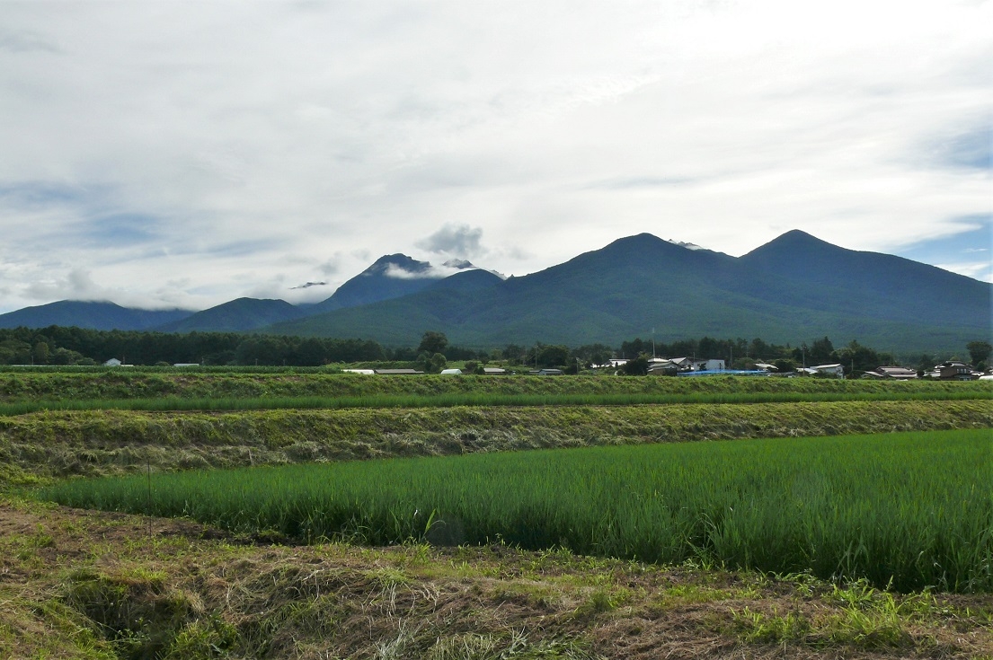 http://www.alpico.co.jp/shikinomori/news/images/P1230780.JPG