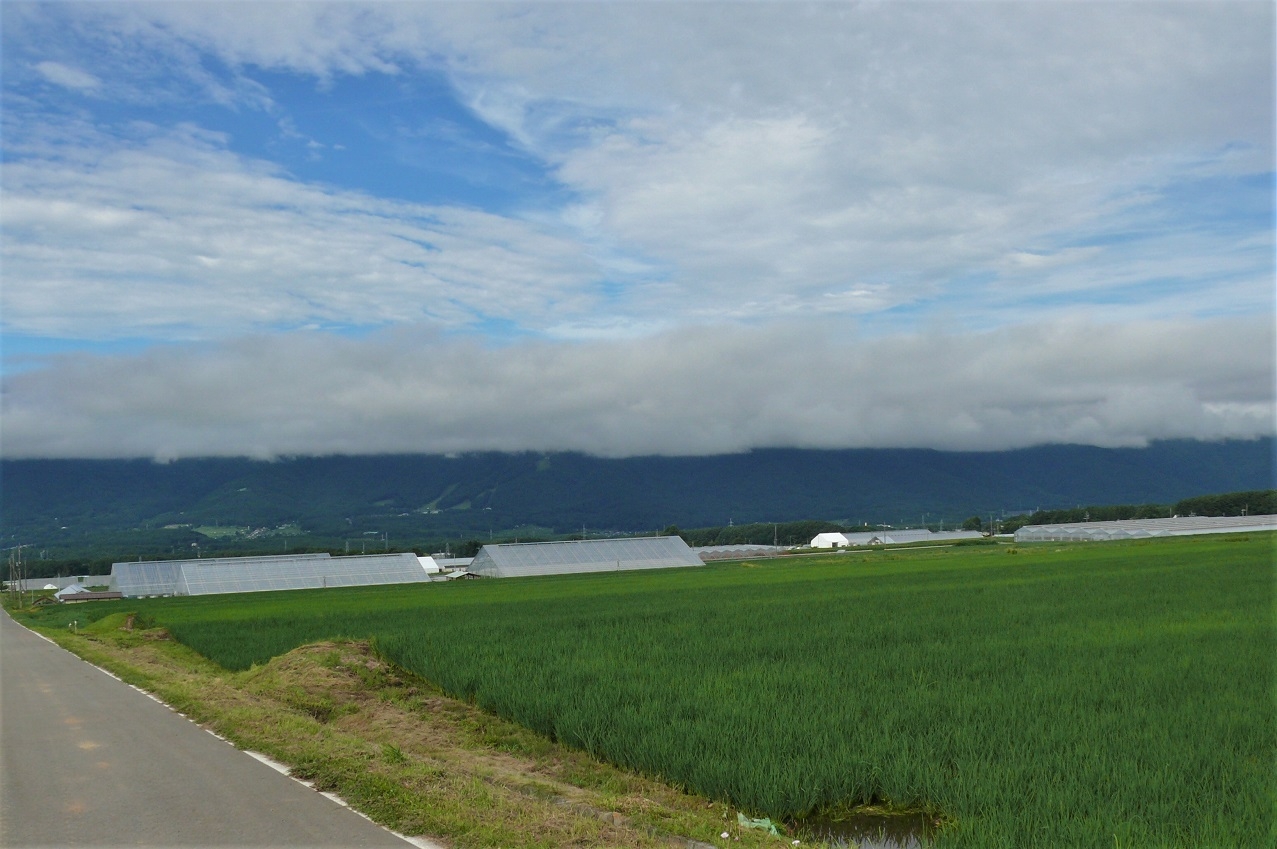 http://www.alpico.co.jp/shikinomori/news/images/P1230781.JPG