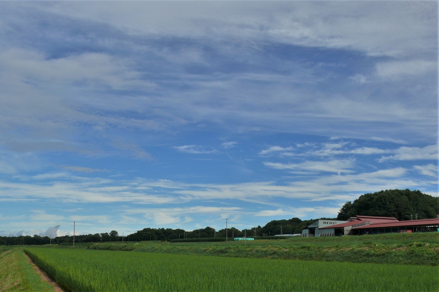 http://www.alpico.co.jp/shikinomori/news/images/P1230782.JPG