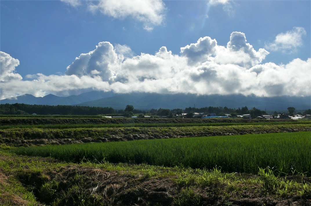 http://www.alpico.co.jp/shikinomori/news/images/P1230803.JPG