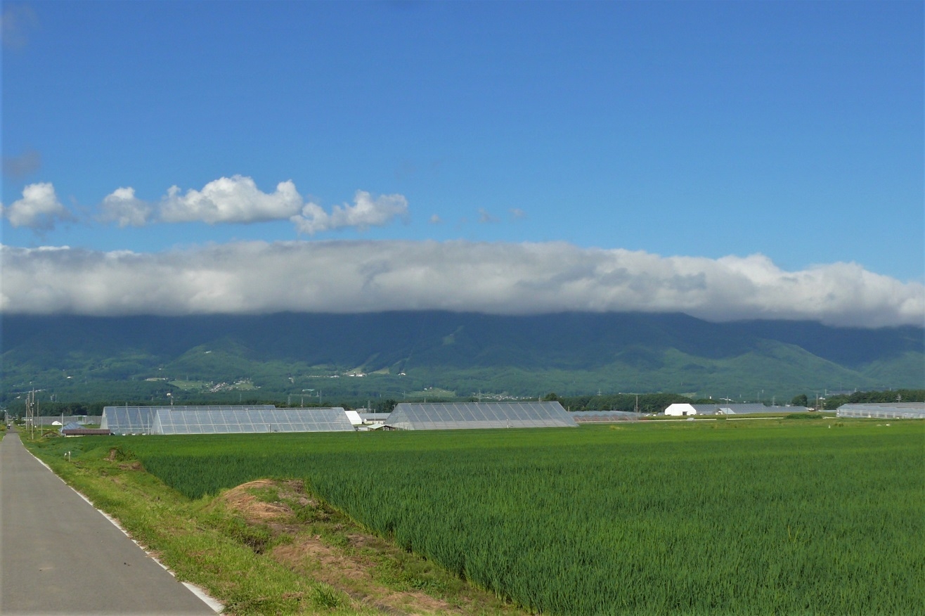 http://www.alpico.co.jp/shikinomori/news/images/P1230804.JPG
