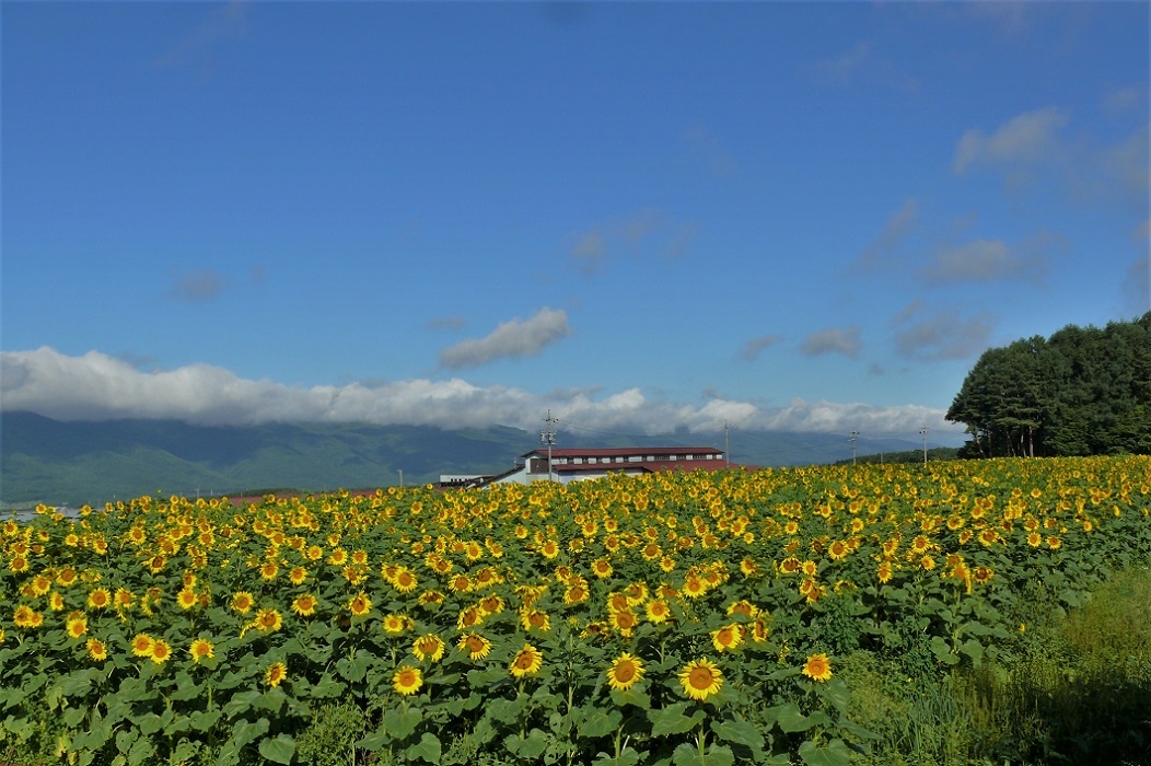 http://www.alpico.co.jp/shikinomori/news/images/P1230808.JPG