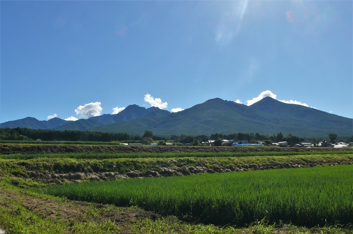 http://www.alpico.co.jp/shikinomori/news/images/P1230847.JPG