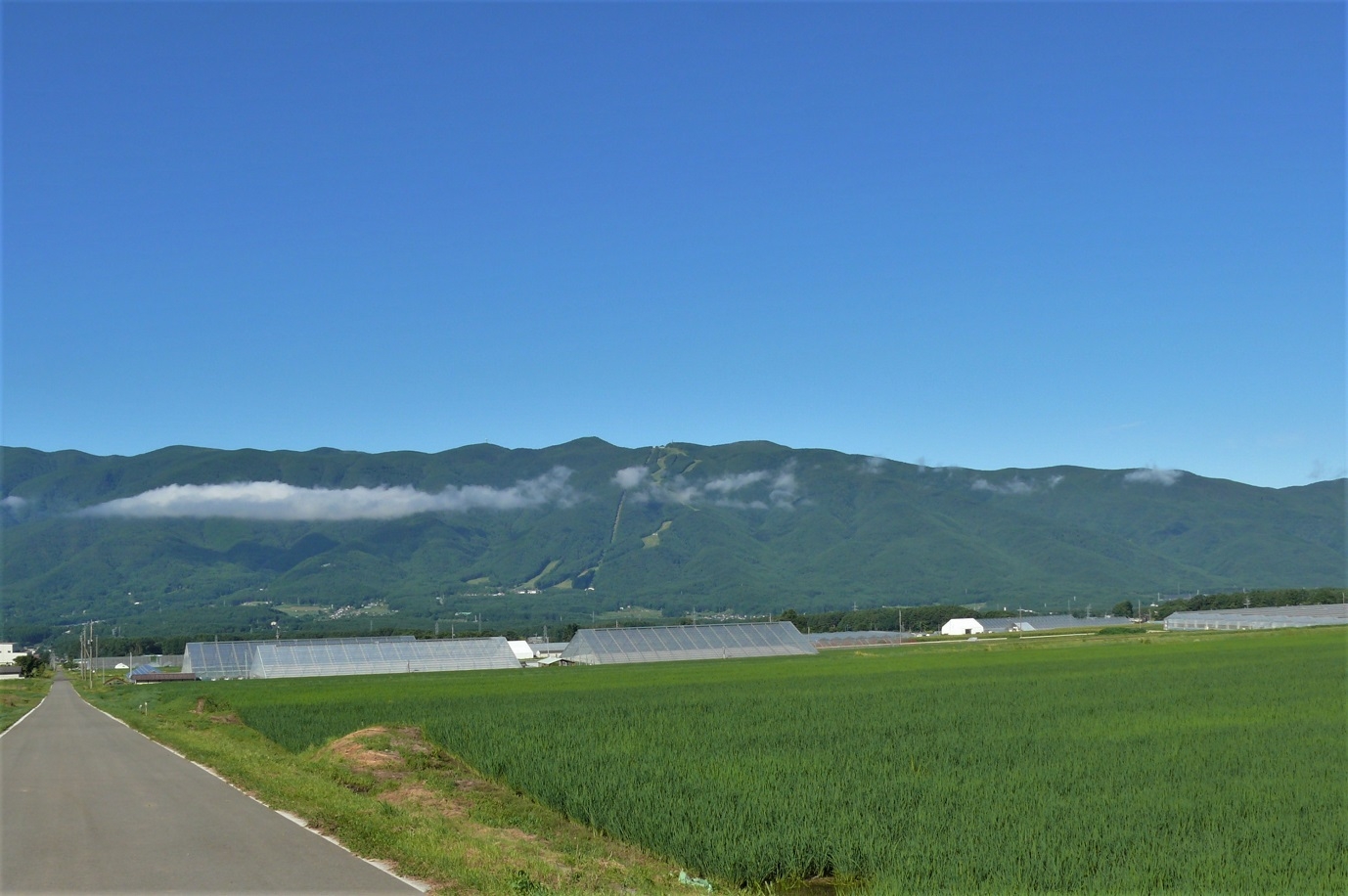 http://www.alpico.co.jp/shikinomori/news/images/P1230849.JPG