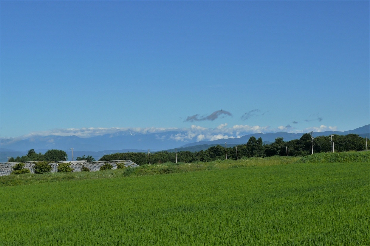 http://www.alpico.co.jp/shikinomori/news/images/P1230863.JPG