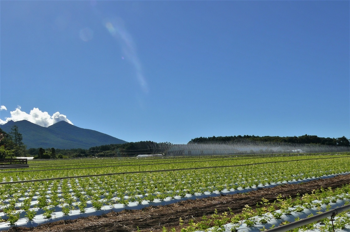 http://www.alpico.co.jp/shikinomori/news/images/P1230878.JPG