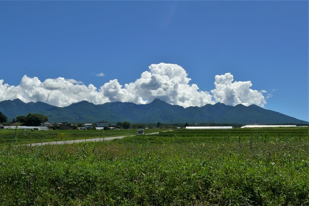 http://www.alpico.co.jp/shikinomori/news/images/P1230881.JPG
