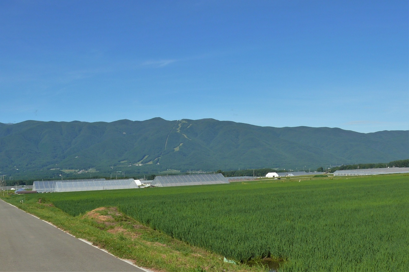http://www.alpico.co.jp/shikinomori/news/images/P1230900.JPG