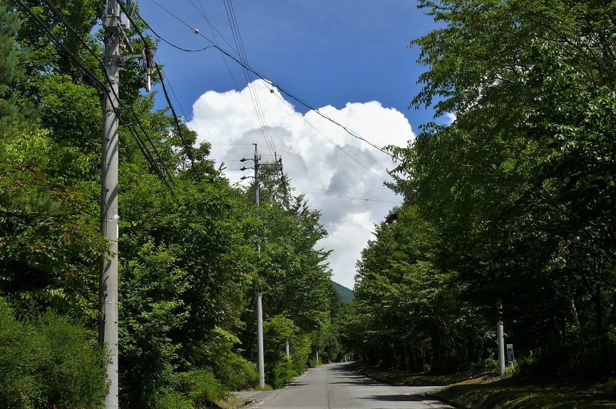 http://www.alpico.co.jp/shikinomori/news/images/P1230912.JPG