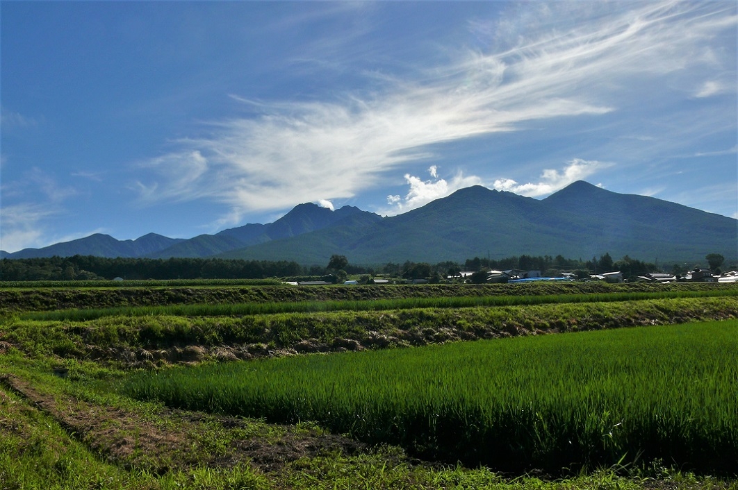 http://www.alpico.co.jp/shikinomori/news/images/P1230923.JPG